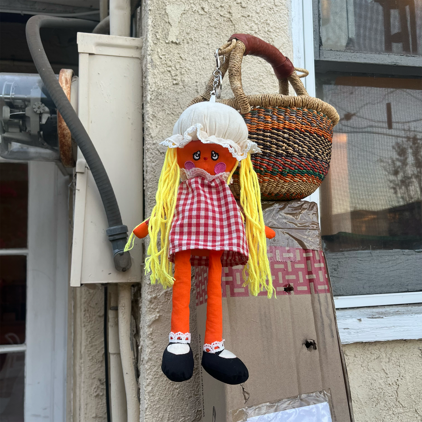 Ragdoll